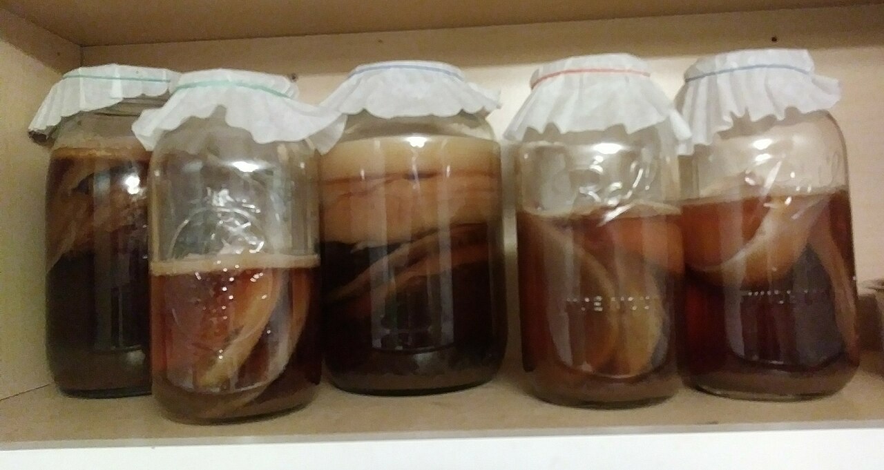 Pale rubbery kombucha cultures stacked in overlapping layers on a surface