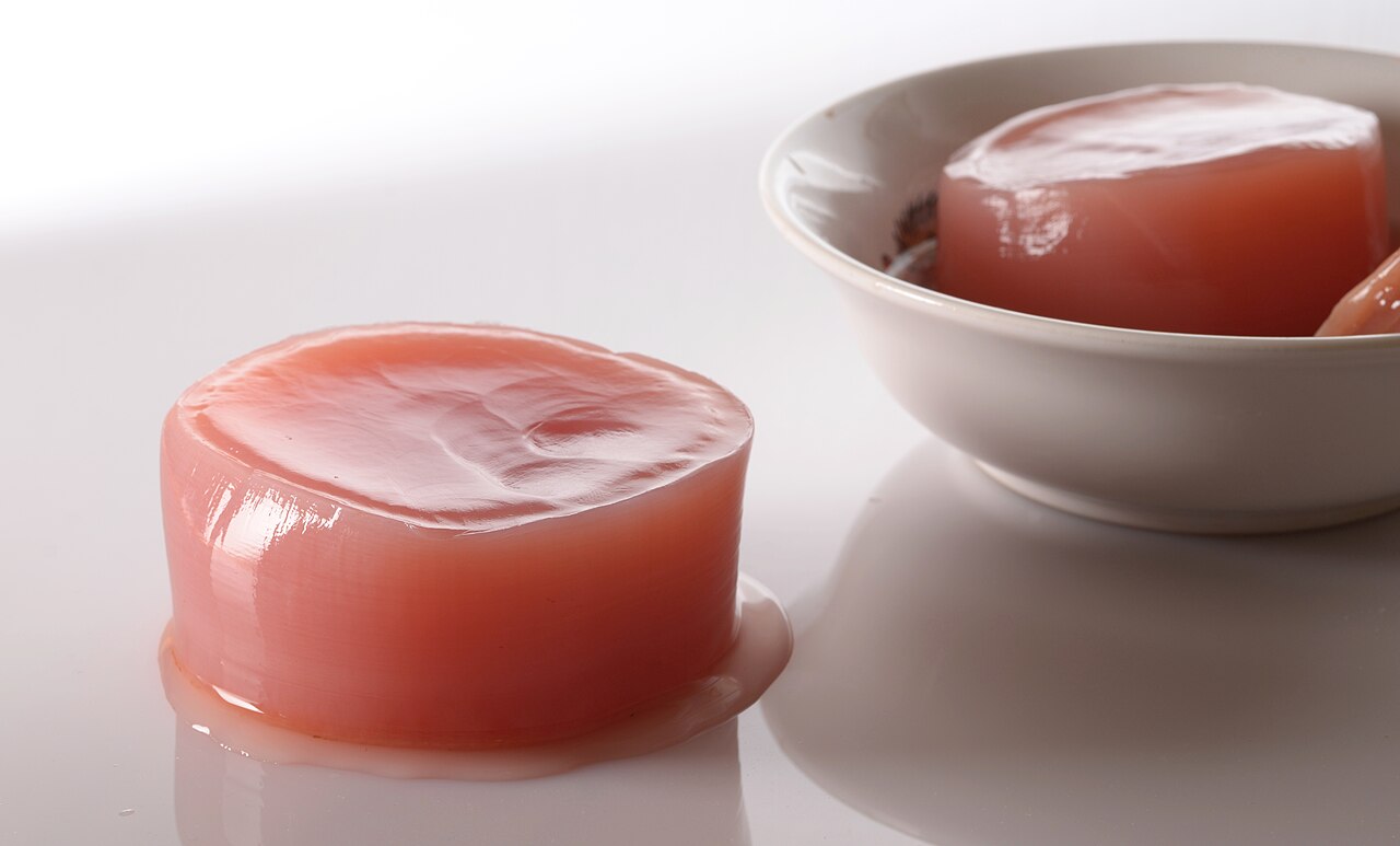 Kombucha culture coloured by fruit tea, floating in its brewing vessel