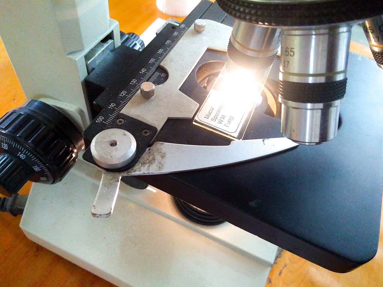 Microscop compus instalat pe un banc de laborator universitar